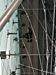 Datei:P1010040.jpg